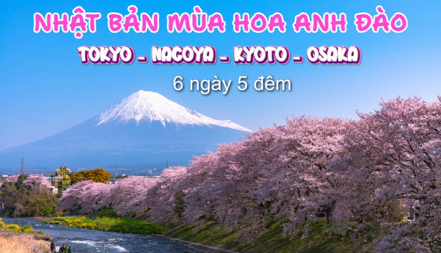 NHẬT BẢN MÙA HOA ANH ĐÀO