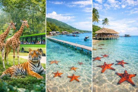 [TOUR LỄ 30.04 DV] PHÚ QUỐC: SAFARI – RẠCH VẸM 3N2Đ